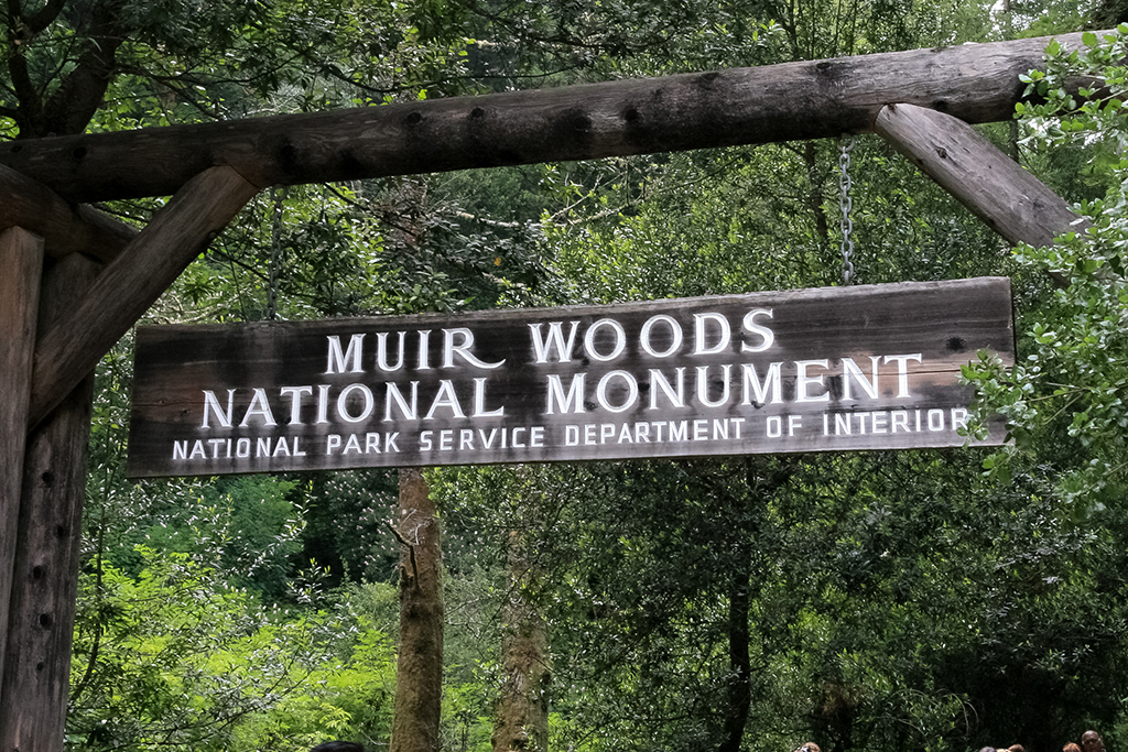 06-28 - 02.JPG - Muir Woods National Monument, CA